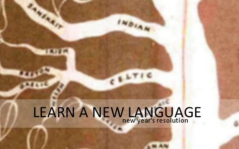 Top Tips for Learning a New Language in 2015