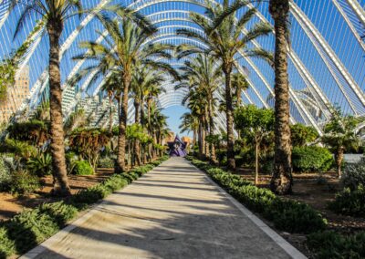 A pathway leading through a garden lined with palm trees and tall white arch on a blue sky