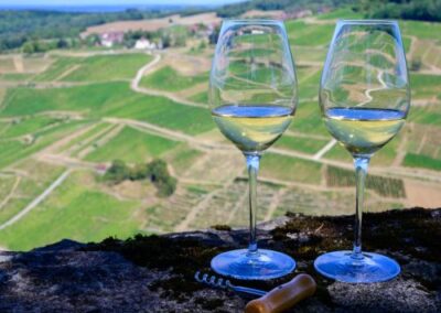 Two wine glasses on a wall in front of green landscape